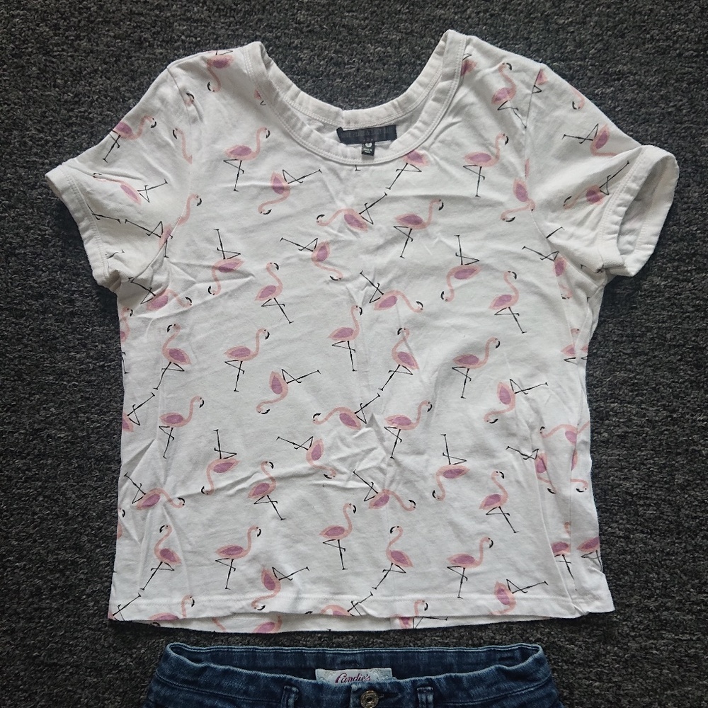 Cute Flamingo Top